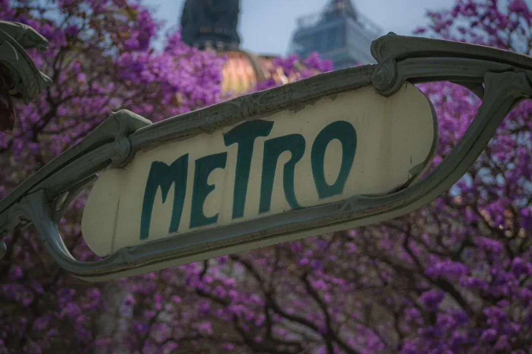A Metro sign under jacaranda flowers