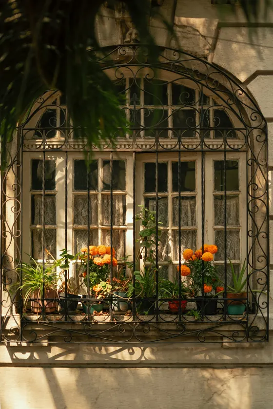 A Roma Norte window with flowers
